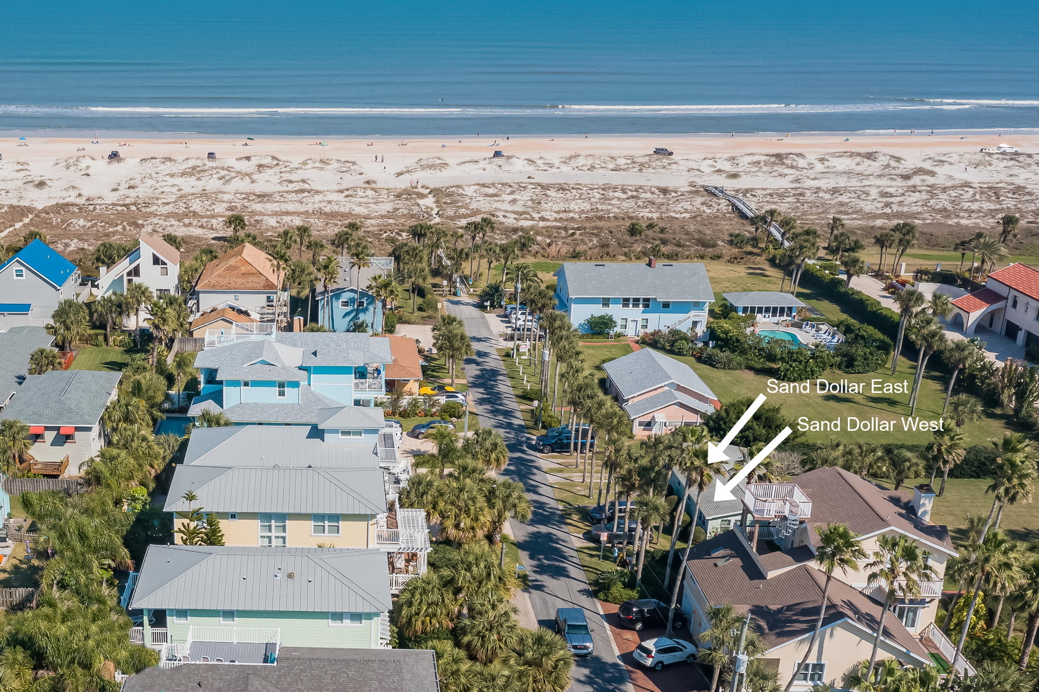 SAND DOLLAR COTTAGE - Beachfront Bed and Breakfast